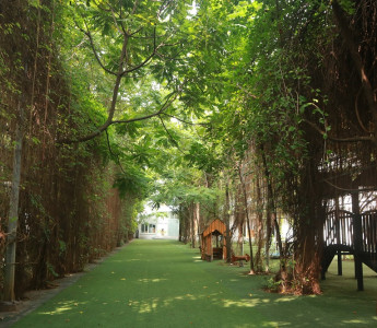 Ấn tượng "rừng" cây xanh mướt mắt bao bọc trường Trang cá cược game online uy tin